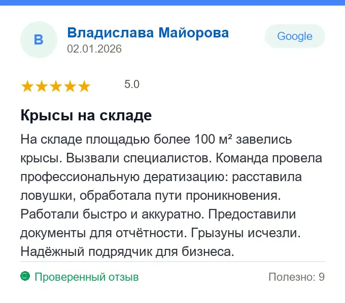 Отзыв Владислава Майорова: Крысы на складе