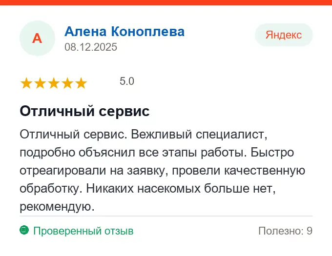 Отзыв Алена Коноплева: Отличный сервис