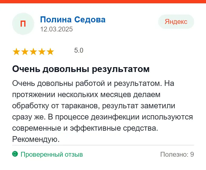 Отзыв Полина Седова: Очень довольны результатом